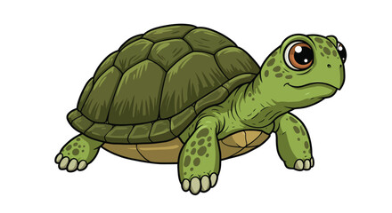 Fototapeta premium Adorable cartoon turtle with big eyes on white background