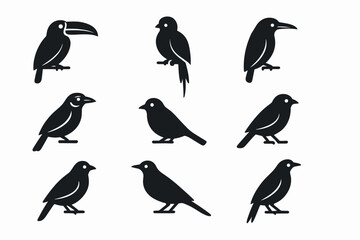Naklejka premium Bird silhouette icon set: sparrow, crow, toucan silhouettes for nature projects