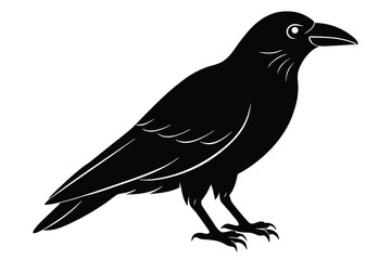 black raven vector icon