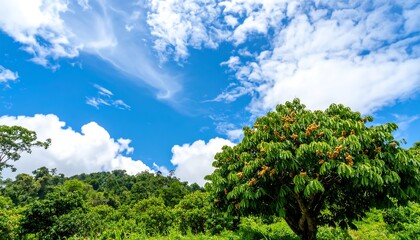 Obraz premium Lush landscape under a vibrant sky