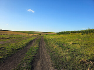 A dirt road through a field