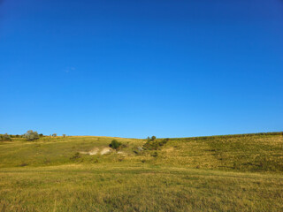 A grassy field with trees in the background