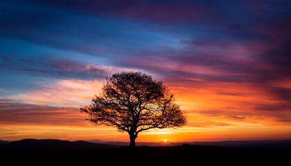 Fototapeta premium a lone tree silhouetted against a colorful sunset