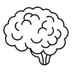 Human brain illustration on white background