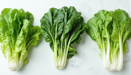 Three types of fresh green leafy vegetables arranged on light surface. Vibrant greens, possibly lettuce, chard, perfect ingredients for healthy salads, organic cooking. Crisp texture, rich nutrients
