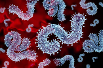 Fototapeta premium Marburg Virus Disease concept or MVD outbreak as a pandemic or epidemic risk to public health as a contagious filovirus causing fever headache muscle pain and severe illness symptoms
