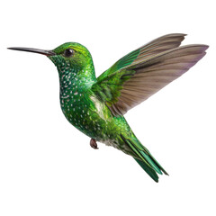 Fototapeta premium Photorealistic Hummingbird Hovering Mid Air with Iridescent Feathers