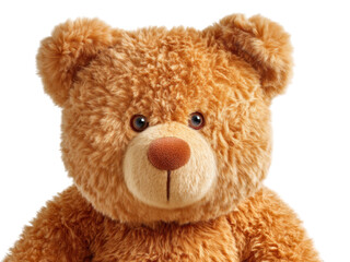 Obraz premium Warm Caramel Plush Teddy Bear with Soft Stitched Features