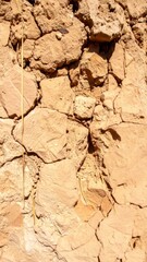 Close Up of Rough Brown Stone Wall Texture in Natural Sunlight