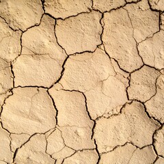 Fototapeta premium Abstract Beige Cracked Soil Texture of Dry Earth in Harsh Daylight with Detailed Patterns