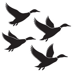 Fototapeta premium Silhouette of flying ducks isolated on white background, capturing the essence of waterfowl in motion each duck is depicted with wings spread, symbolizing freedom and the beauty of nature