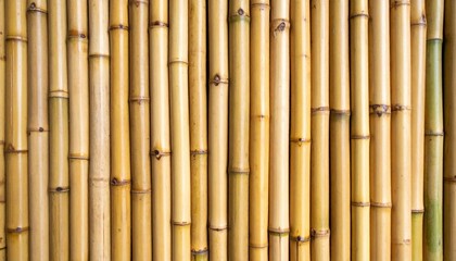 Natural Light Beige Bamboo Wall Texture