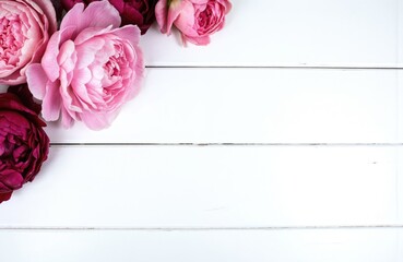 Top view of pink, maroon peonies on white wooden background. Features horizontal paneling, ample blank space for design elements. Elegant floral arrangement, soft light, clean, minimalist aesthetic.