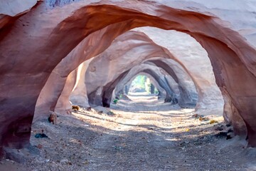 Beautiful tunnel  natural path in an idyllic and pleasant environment