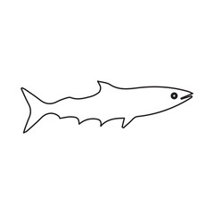 Mackerel line icon