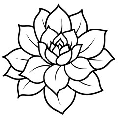 Fototapeta premium Floral Elegance