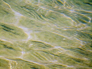 abstract macro background close-up 
