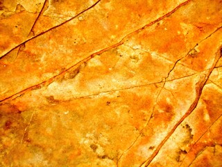 abstract macro background close-up 
