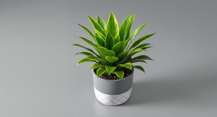 Vibrant Indoor Houseplant in Modern Decorative Pot Fresh Green Foliage Against Neutral Grey Ba