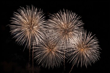Fireworks display against a black night sky