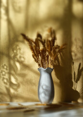 Vase with dried flowers and shadow of the dragonfly on background casting shadows . Minimal modern interior decoration concept. Autumn wabi sabi style aesthetics