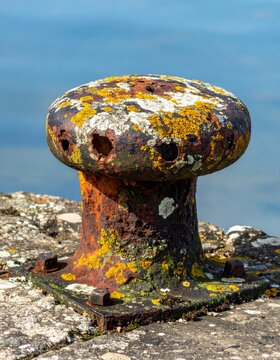 Close Up of a Rusted Iron Bollard with Lichen near Dockside Harbor on Concrete Pier