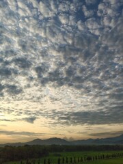 looking freely enjoying the stretch of rice fields that ends at the Menoreh hill range under wisps of evening clouds.