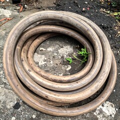 Coiled Gray Rubber Hose on Concrete Surface with Small Green Plants Growing Through Center