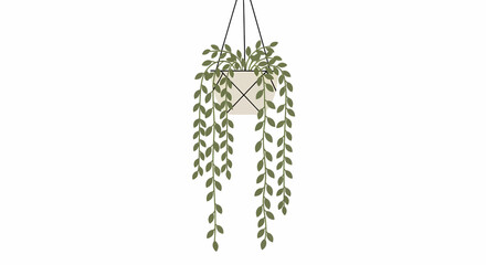 Naklejka premium Delicate Hanging Vine Plant Illustration for Home Decor, A Touch of Natural Beauty