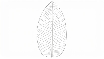 Detailed Monochrome Leaf with Vein Patterns on White Background with High Contrast