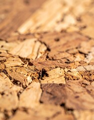 Detailed Close Up of Brown Cork Board Texture With Natural Grain Material