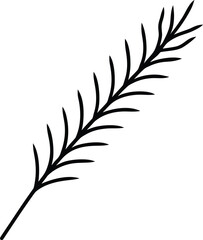 evergreen branch icon on transparent background