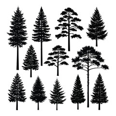 Obraz premium Vector art of a diverse collection of coniferous tree silhouettes showcasing various species and shapes in a vector format