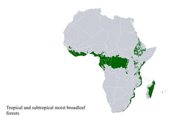 Fototapeta premium Tropical and subtropical moist broadleaf forests biome map of Africa