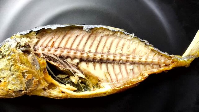 Fried  mackerel fish in plate, indoor Chiangmai  Thailand.