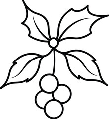 mistletoe on transparent background