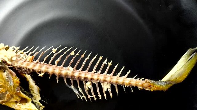  A head and bone of mackeral fish in plate, indooe Chiangmai Thailand