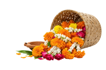 Orange marigold flower flowers with basket isolated on transparent background