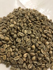 A detailed close-up view of a pile of raw, unroasted green coffee beans, showcasing their natural texture and color before roasting.