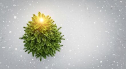 Evergreen tree bright light snow winter festive