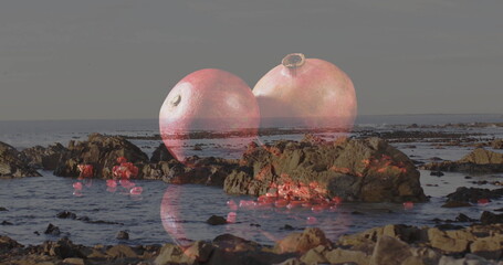 Floating pomegranate fruits hovering over rocky tide pools at coastal shoreline, scattering arils