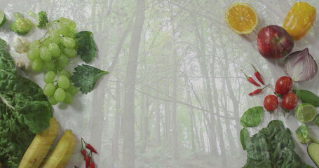 Fototapeta premium Framing tall forest trunks filtering misty light in woodland, with green grapes and bananas