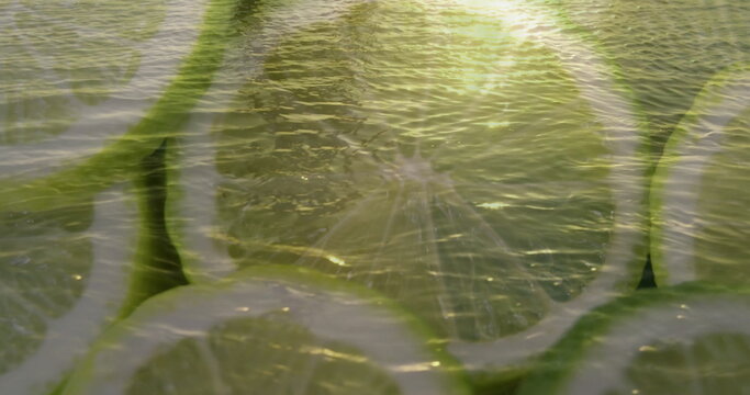 Fototapeta Glowing central lime slice revealing pale green flesh in still life, with sunlit water ripples