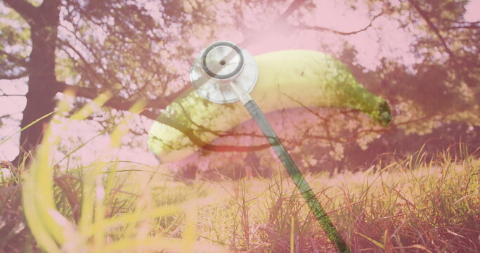 Floating surreal banana and stethoscope blending above grassy meadow capturing dreamlike scene