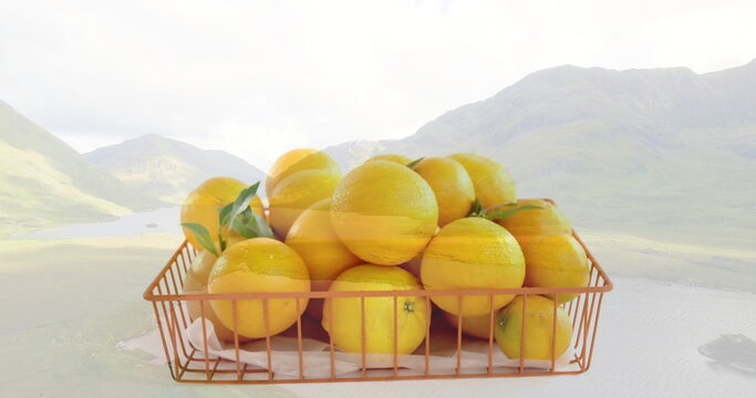 Fototapeta Displaying copper wire basket with white lining holding yellow oranges on glossy table, lake valley
