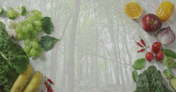 Fototapeta Framing tall forest trunks filtering misty light in woodland, with green grapes and bananas