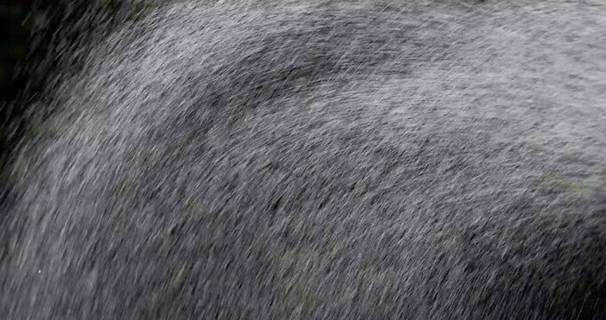散水の水しぶき