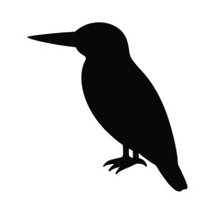 kingfisher-silhouette-on-white-background