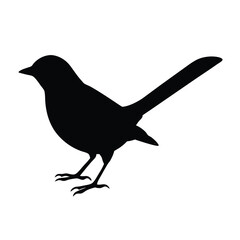 nightingale-silhouette-on-white-background