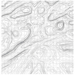 Obraz premium Intricate abstract topographic contour lines and grid pattern isolated on transparent background